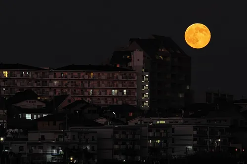 地平線から昇る大きな満月