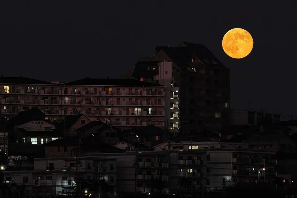 地平線から昇る大きな満月